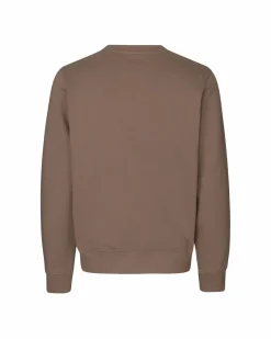 Pas Normal Studios Off-Race Logo Sweatshirt — Clay^Women Casual|Casual