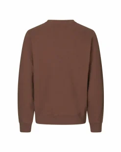 Pas Normal Studios Off-Race Patch Sweatshirt — Rust^Women Casual|Casual